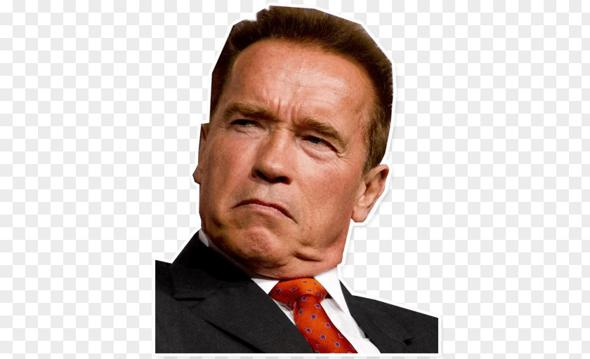 Arnold Schwarzenegger The Terminator T-1000 Actor PNG