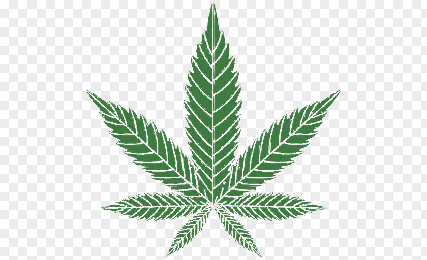 Cannabis Hemp Leaf Clip Art PNG