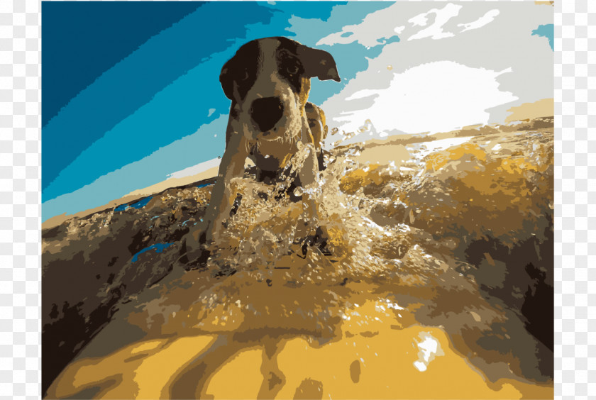 Cat Hawaiian Poi Dog Surfing Veterinarian Pet Sitting PNG