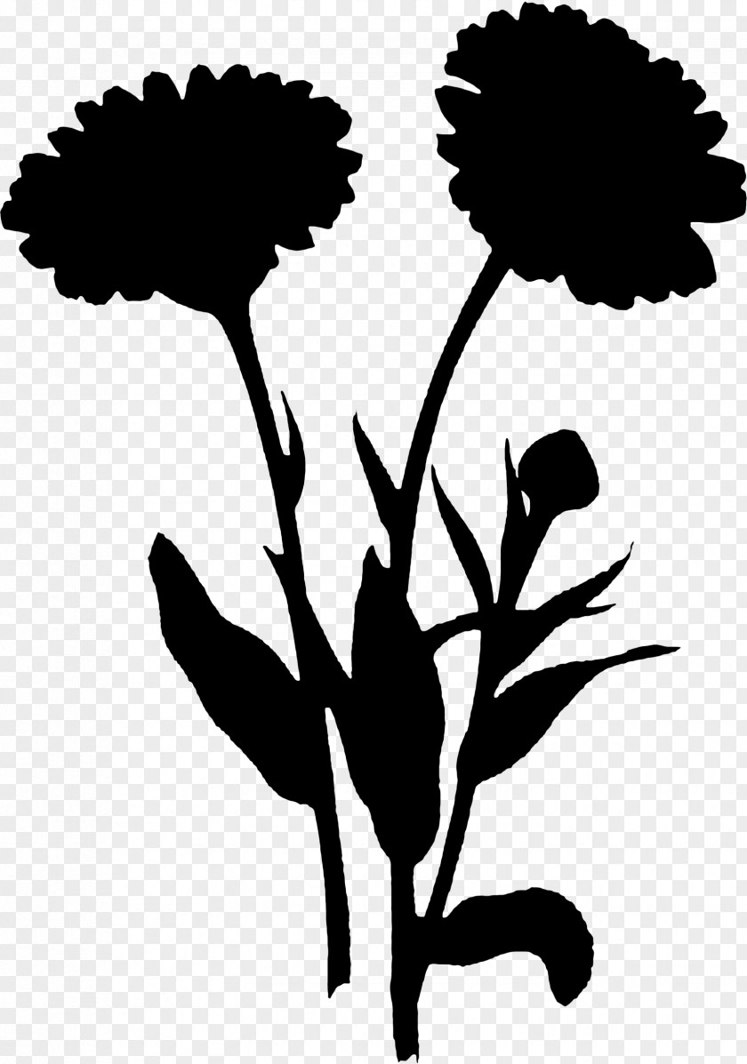 Clip Art Leaf Plant Stem Silhouette Plants PNG