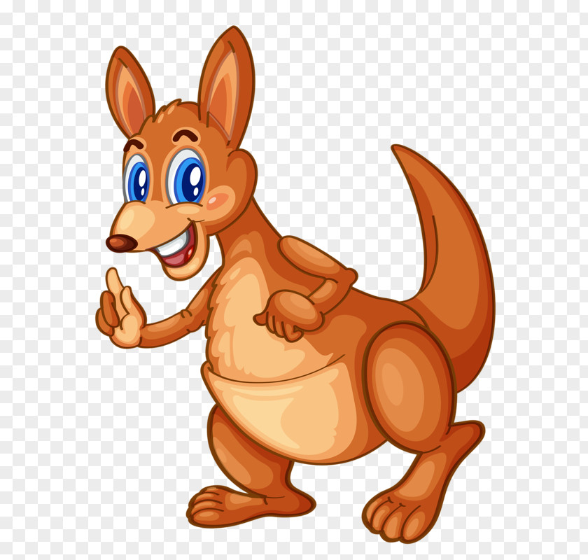 Cute Kangaroo Stock Illustration PNG
