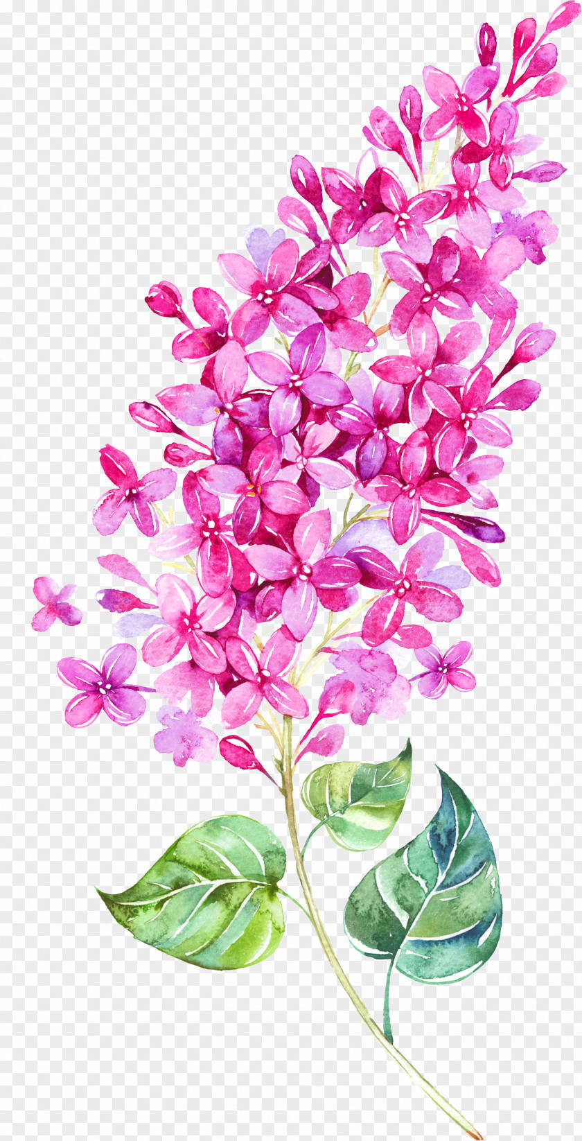 Floating Flower Watercolor Painting Clip Art PNG