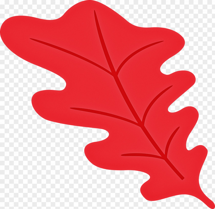 Oak Leaf PNG