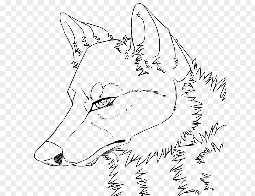 Painting Line Art Gray Wolf Drawing DeviantArt PNG