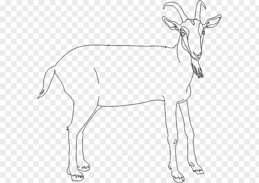 Reindeer Antelope Cattle Line Art Goat PNG