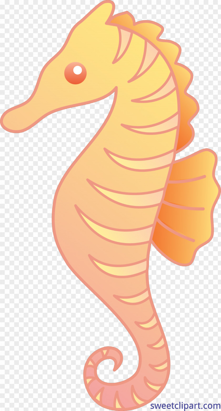 Seahorse Mister Clip Art Openclipart Vector Graphics PNG