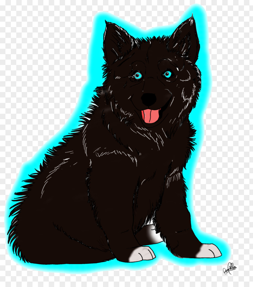 Wolf Paw Schipperke Black Cat Whiskers Dog Breed PNG