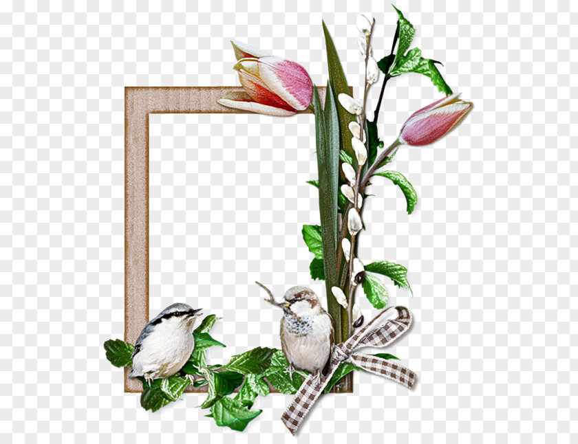 Arum Family Picture Frame Background Flowers PNG