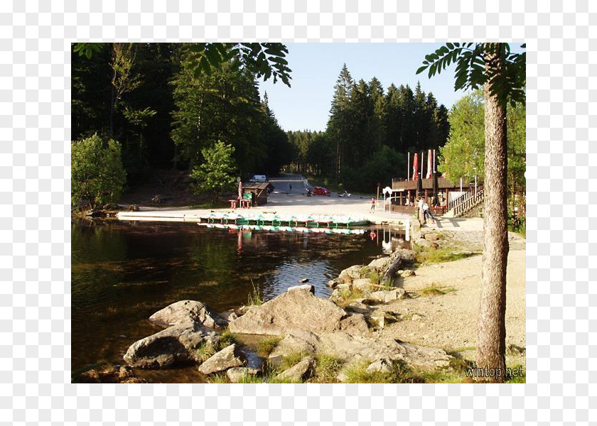 Boat River Water Resources Bayou Plant Community Pond PNG