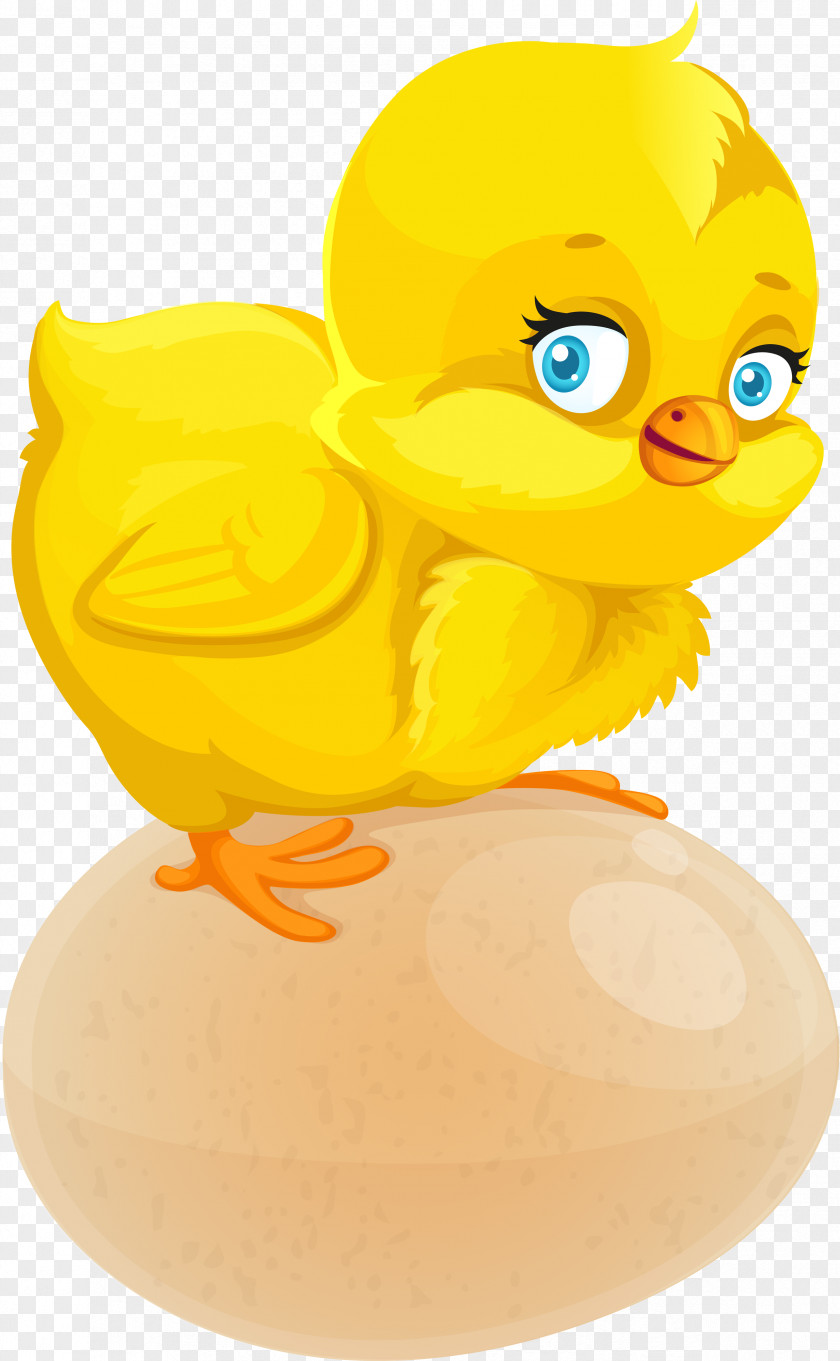 Easter Chick Chicken Drawing Animation Cartoon PNG