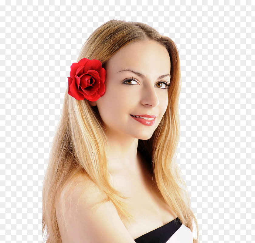 Hair Stock Photography Brown Flower Hairstyle PNG