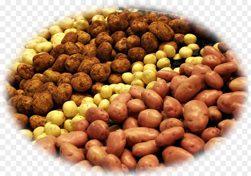 Potato Hash Browns Belarus Vegetable Plant-based Diet PNG