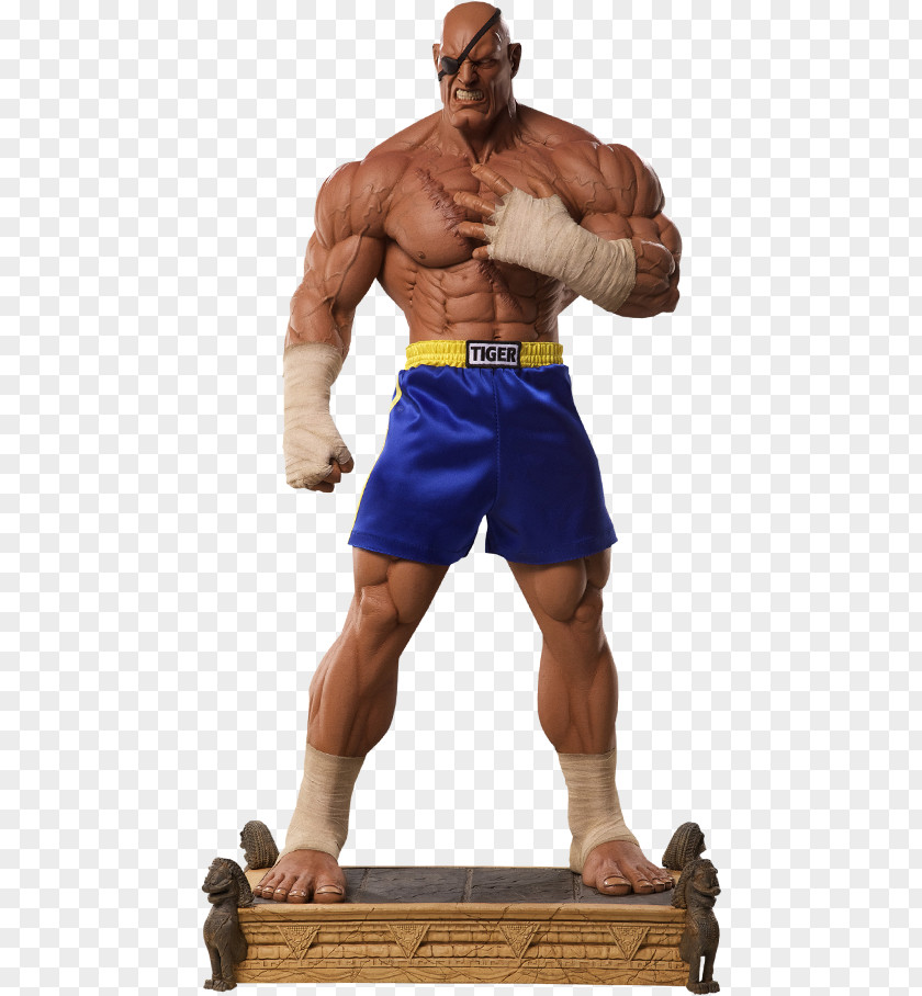 Sagat Akuma Ryu Ken Masters Street Fighter X Tekken PNG