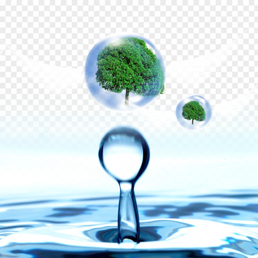 Water Droplets In The Tree Drop Banner PNG