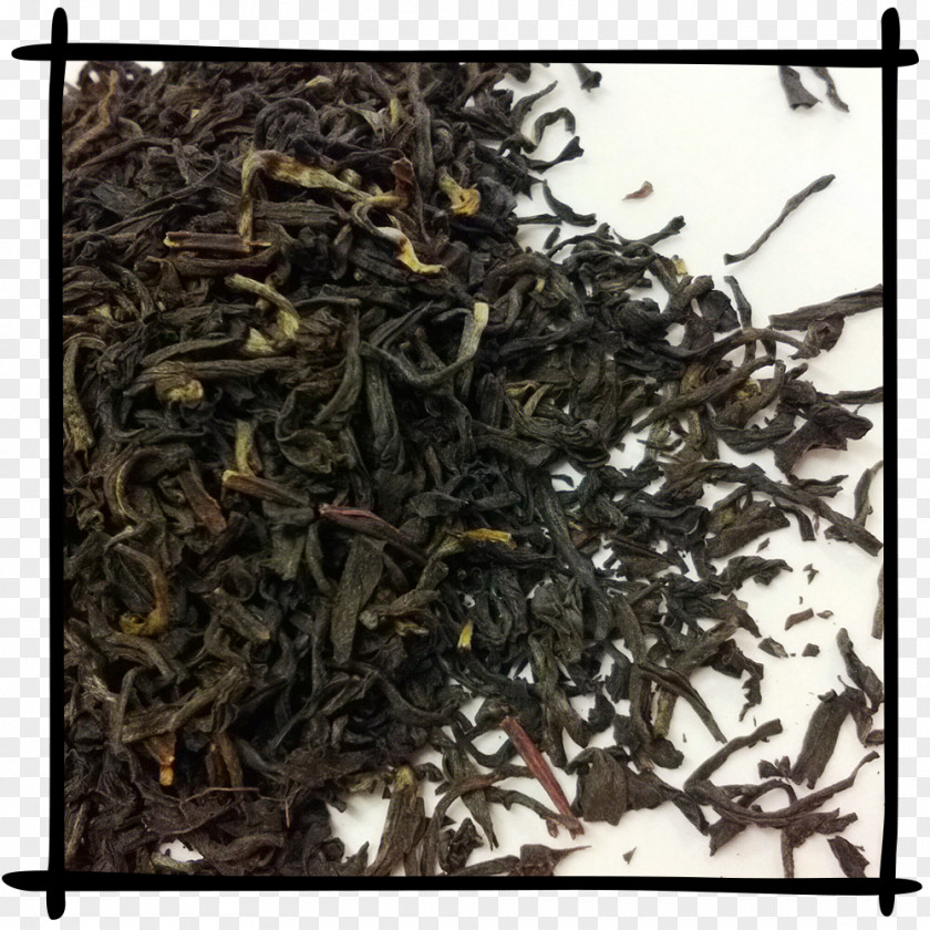 Assam Tea Nilgiri Dianhong Golden Monkey Chun Mee PNG