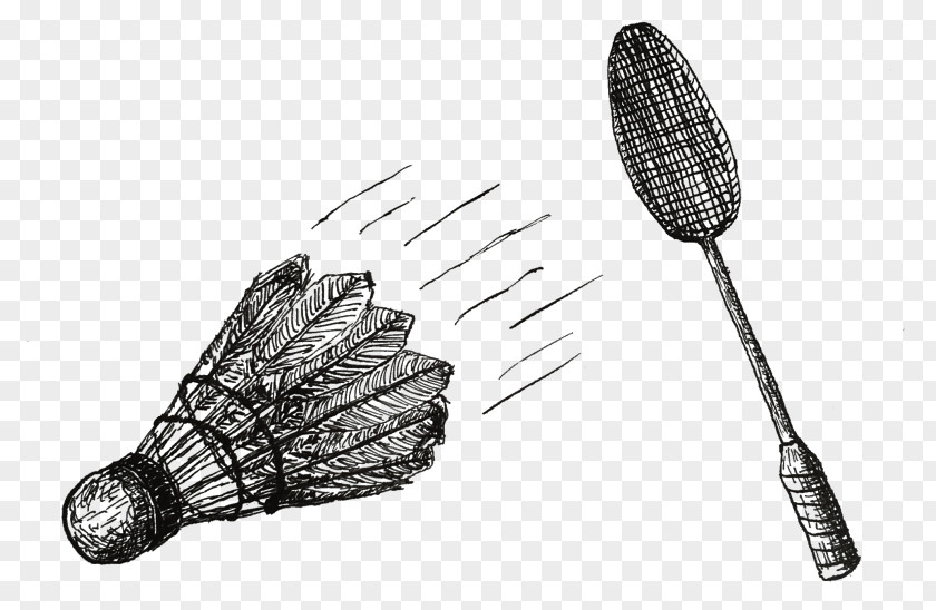Badminton Icon Product Design Brush Line PNG