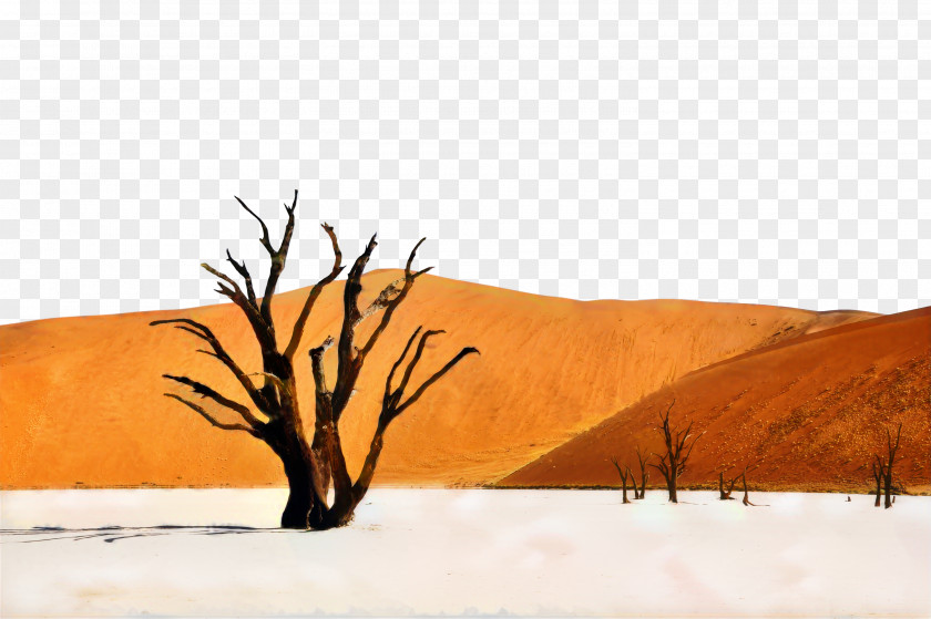 Deadvlei Spitzkoppe Desktop Wallpaper Desert Accommodation PNG
