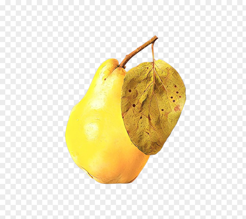 Food Fruit Pear Yellow Tree Plant PNG