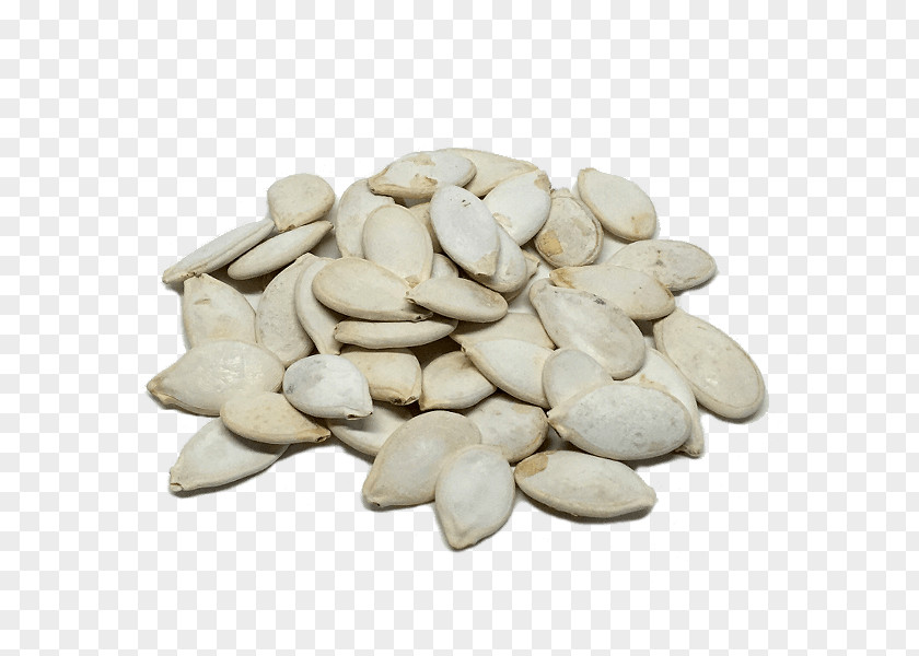 Pumpkin Cucurbita Pepo Seed Potassium Iron PNG