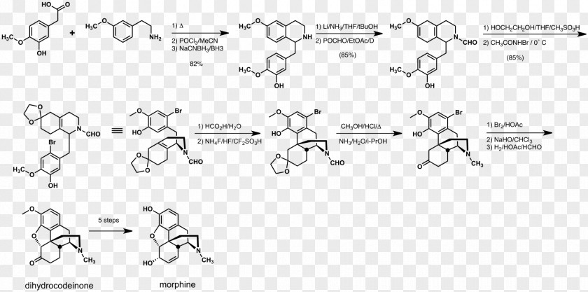 Total Synthesis Of Morphine And Related Alkaloids Rice Document PNG