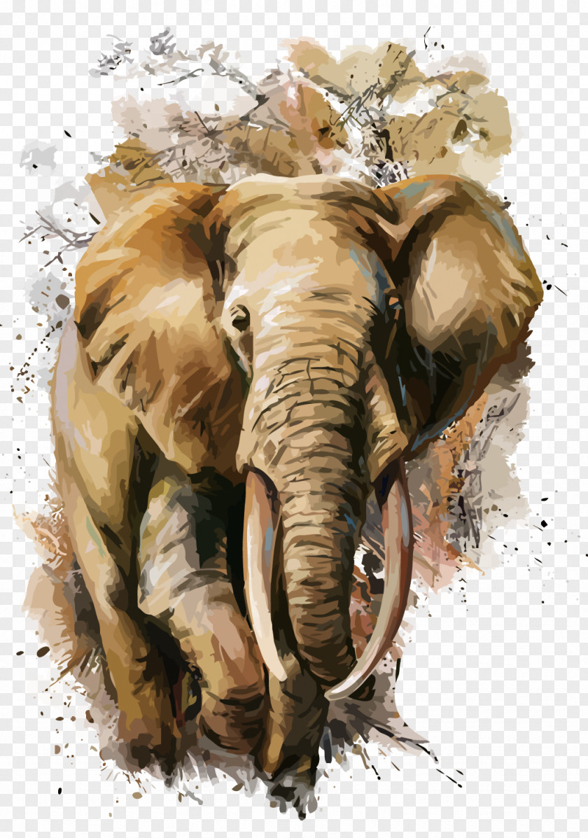 Vector Elephant African T-shirt Watercolor Painting PNG