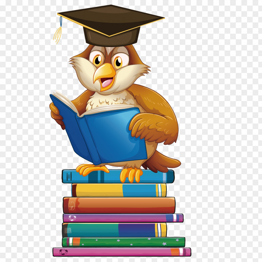 Vector Owl Book Reading Illustration PNG