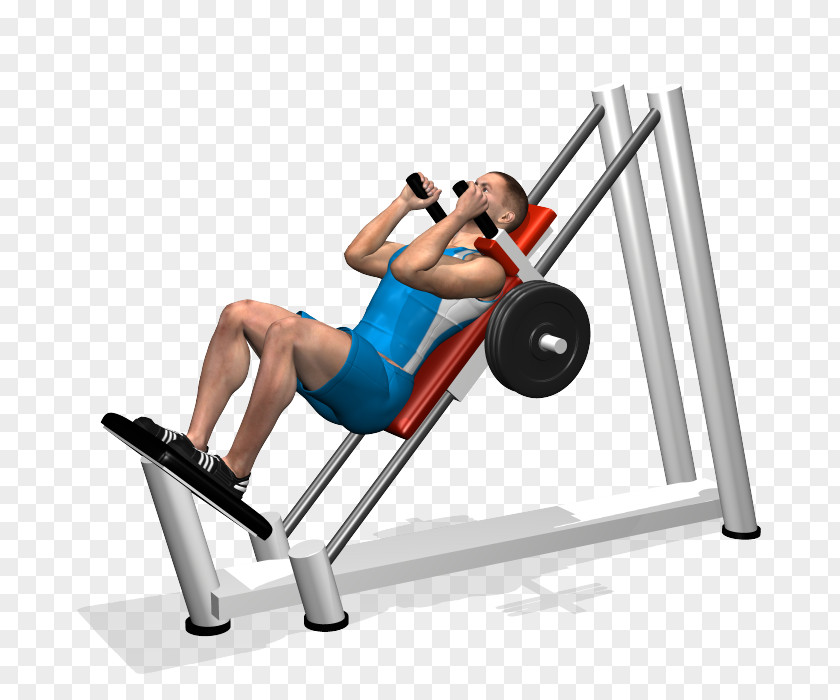 Barbell Squat Exercise Bench Press Dumbbell PNG