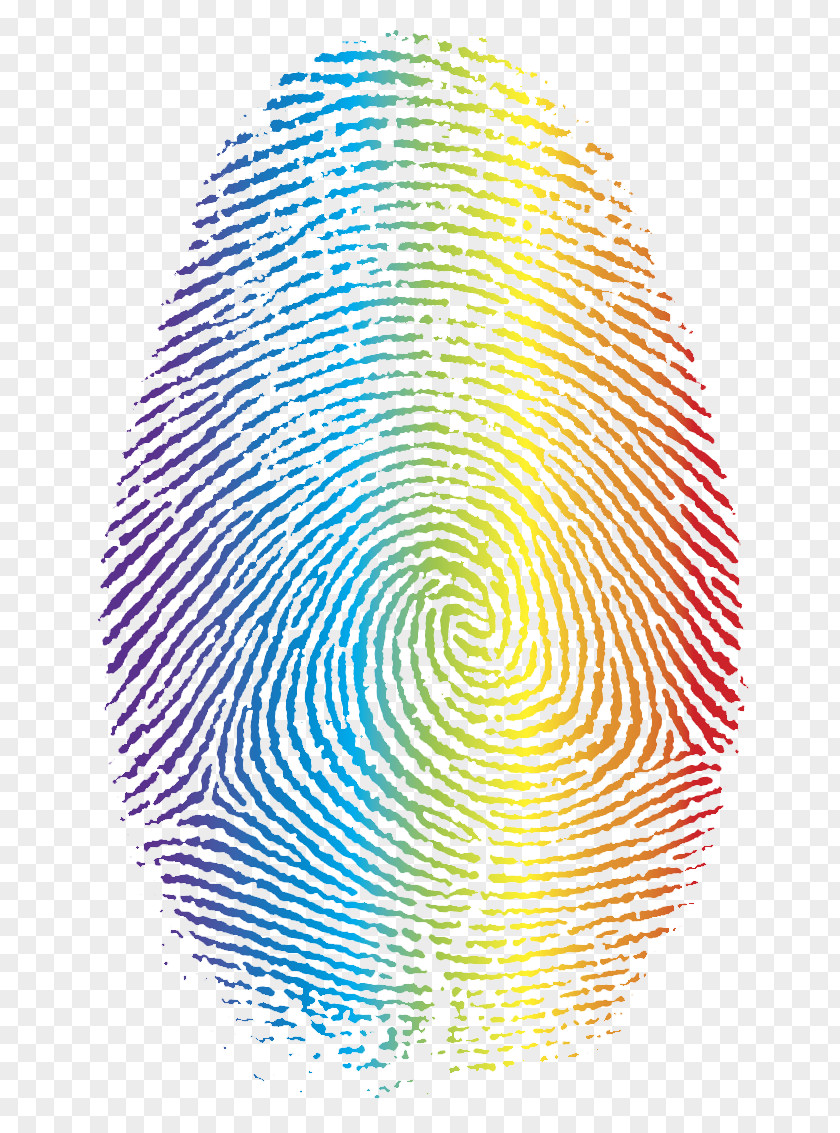 Corlorful Fingerprint Clip Art PNG