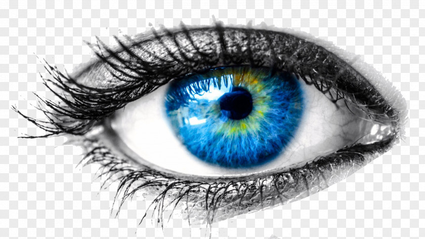 Eye Human Cornea Visual Perception Examination PNG