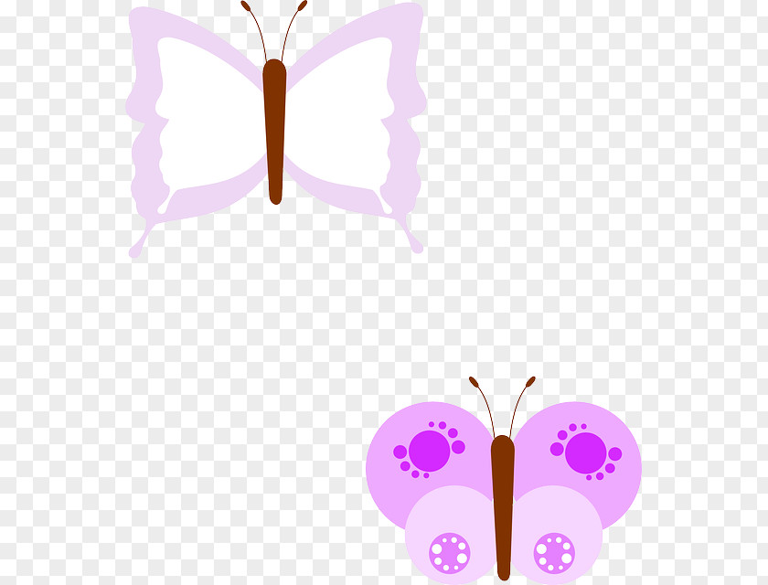 Insect Butterfly Clip Art PNG