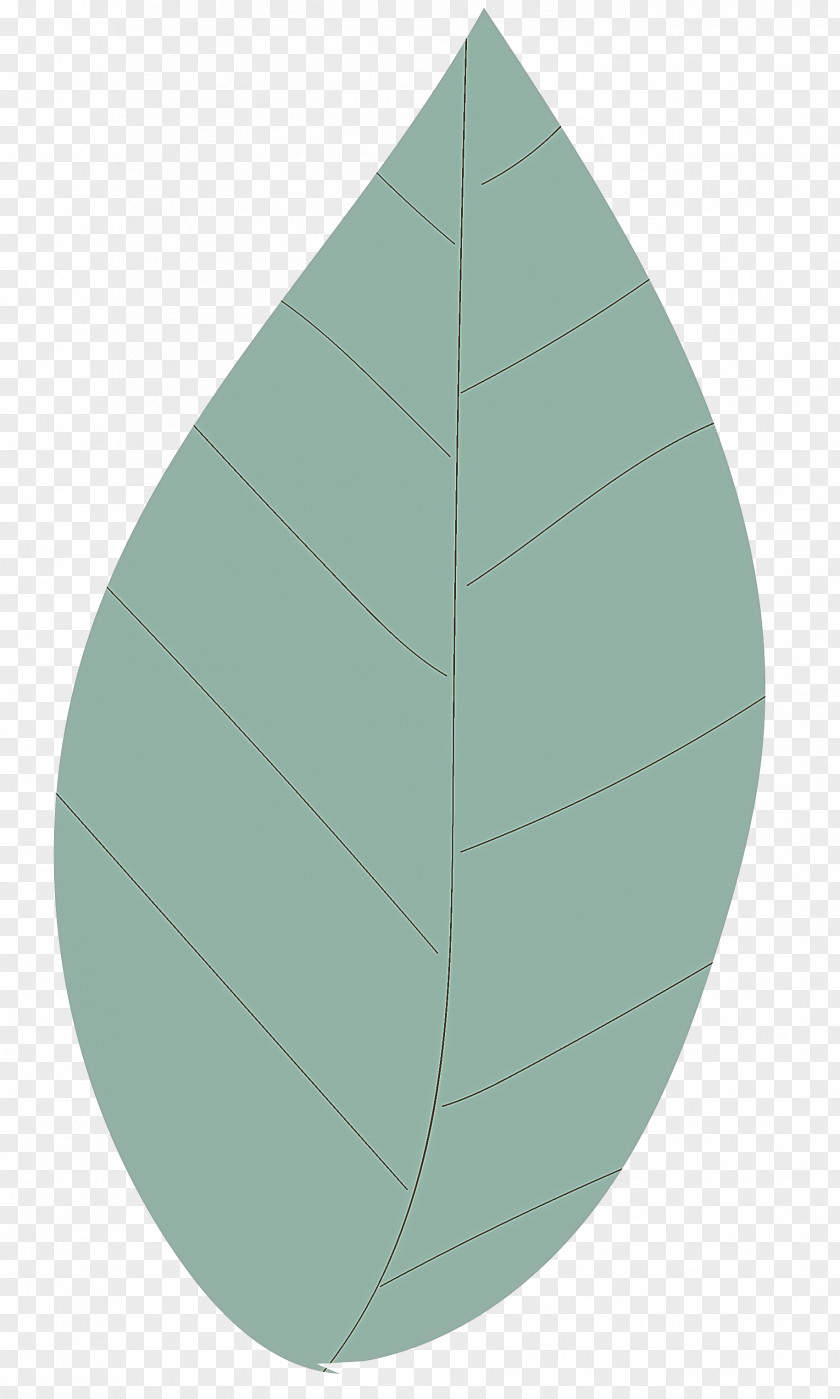 Leaf Circle Angle Green Plant Structure PNG
