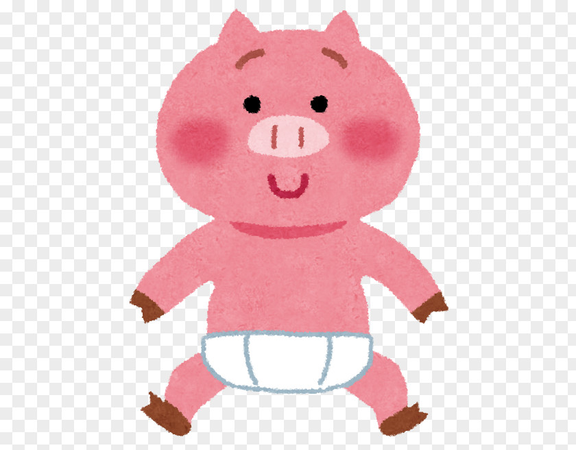 Pig Domestic Diaper Infant PNG