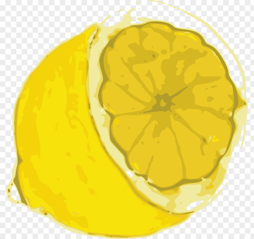 Lemon Line Art Clip PNG