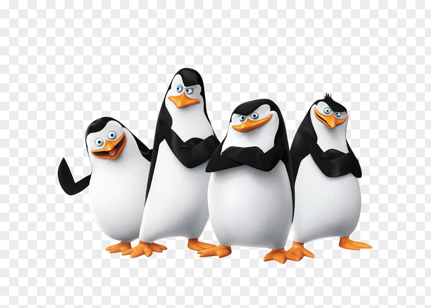 Madagascar Penguins Skipper Kowalski Penguin Film PNG