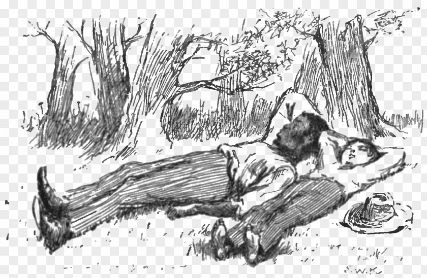 Adventures Of Tom Sawyer Huckleberry Finn Jim To Kill A Mockingbird PNG
