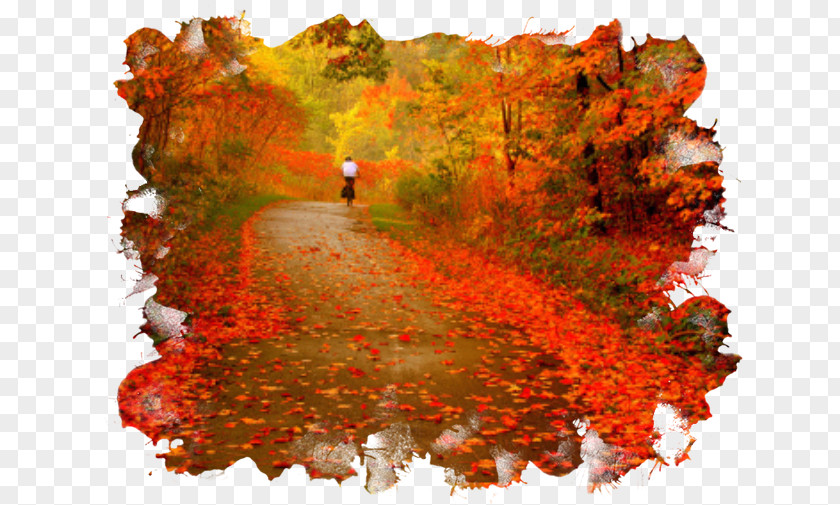 Autumn Golden Centerblog Season PNG