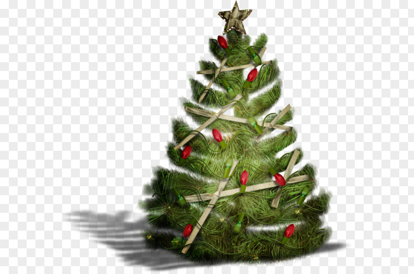 Beautiful Christmas Tree Santa Claus Ornament Fir PNG