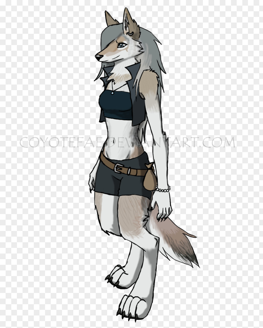 Coyote Drawing Canidae Illustration Dog PNG