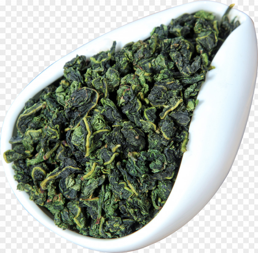 Green Tea Gyokuro Tieguanyin White PNG