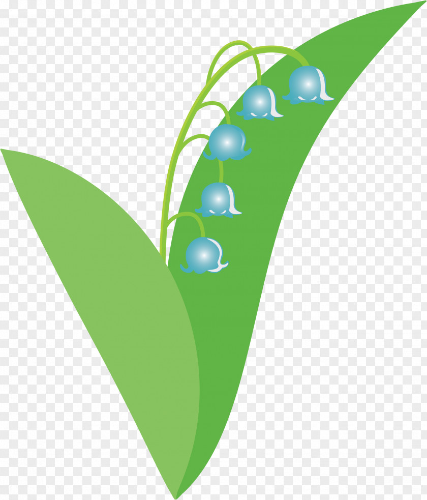 Lily Bell Flower PNG