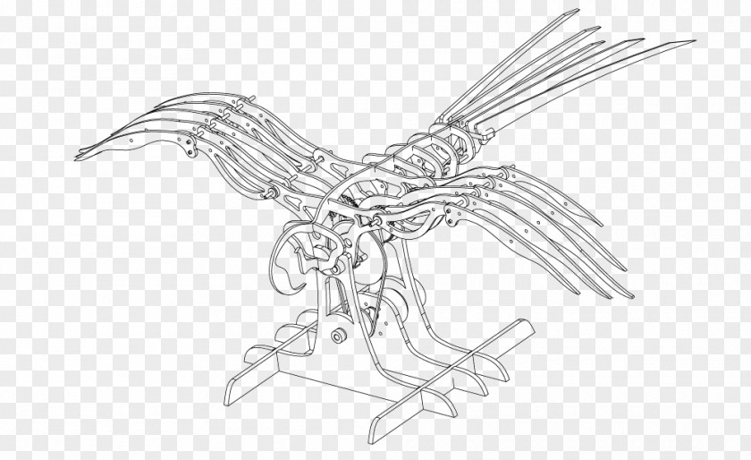 Bird Beak Of Prey Line Art Sketch PNG