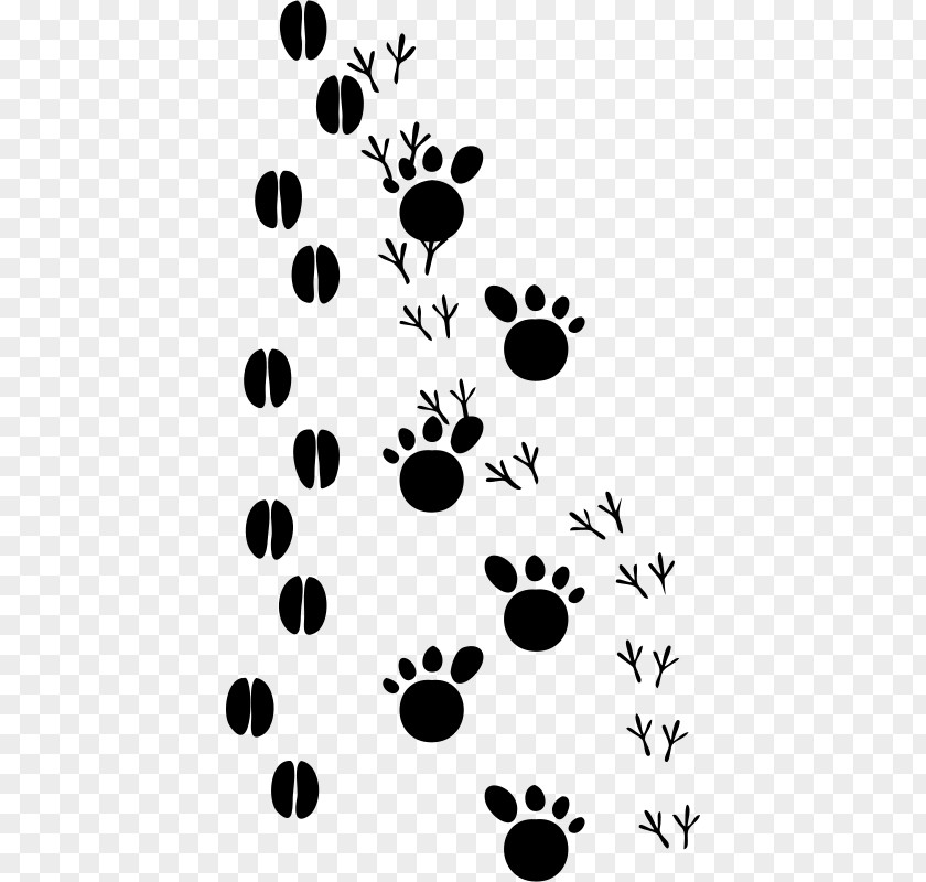 Cat Dog Animal Track Footprint Clip Art PNG