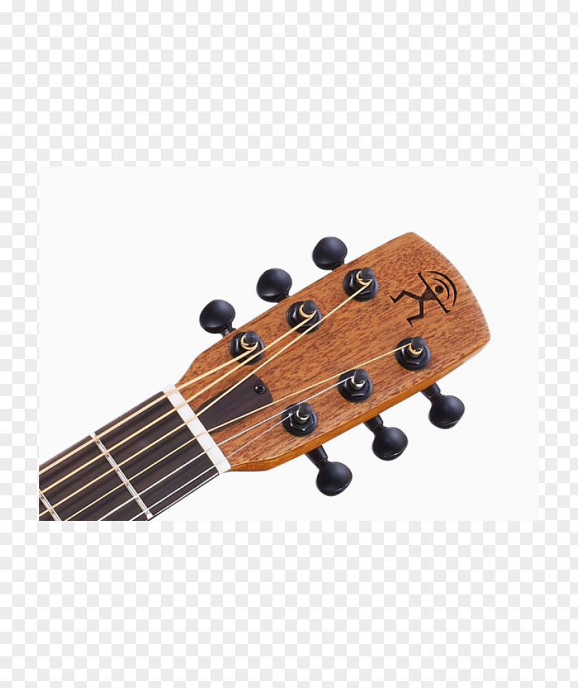 Feather Material Steel-string Acoustic Guitar Acoustic-electric Ukulele PNG