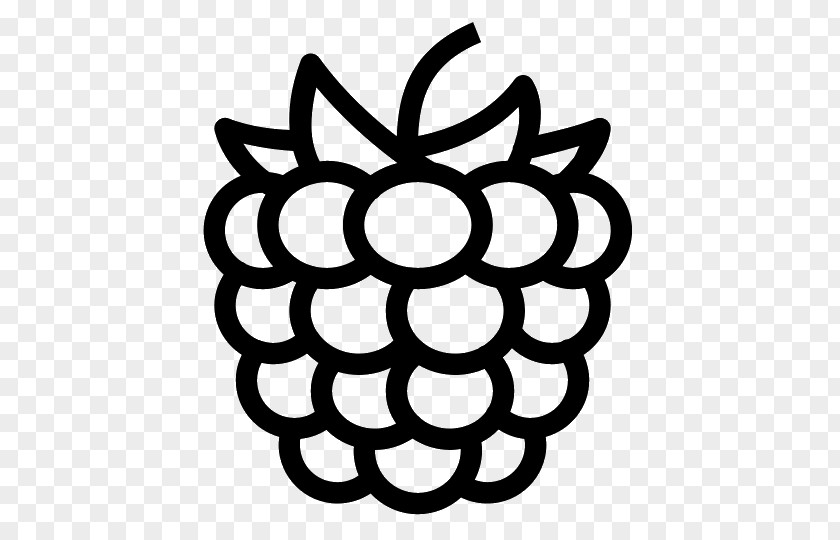 Raspberry Black PNG