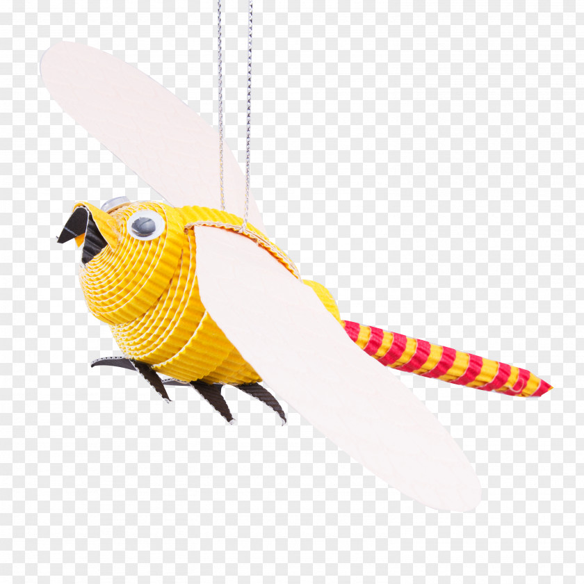 Chuồn Parakeet Feather Beak Pet PNG