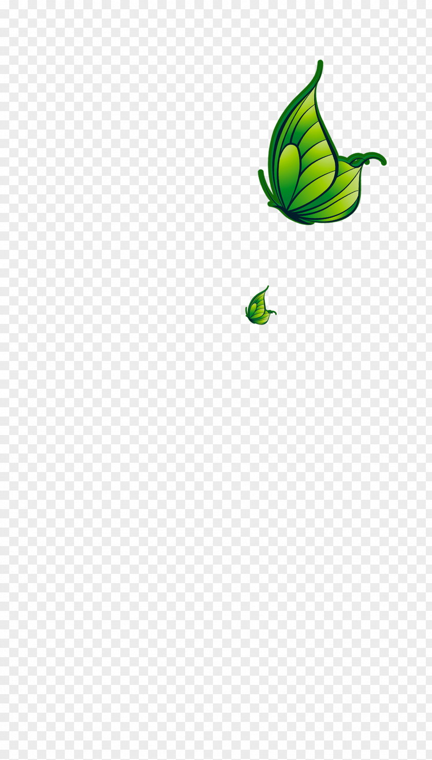 Green Butterfly Leaf Plant Stem Insect Clip Art PNG