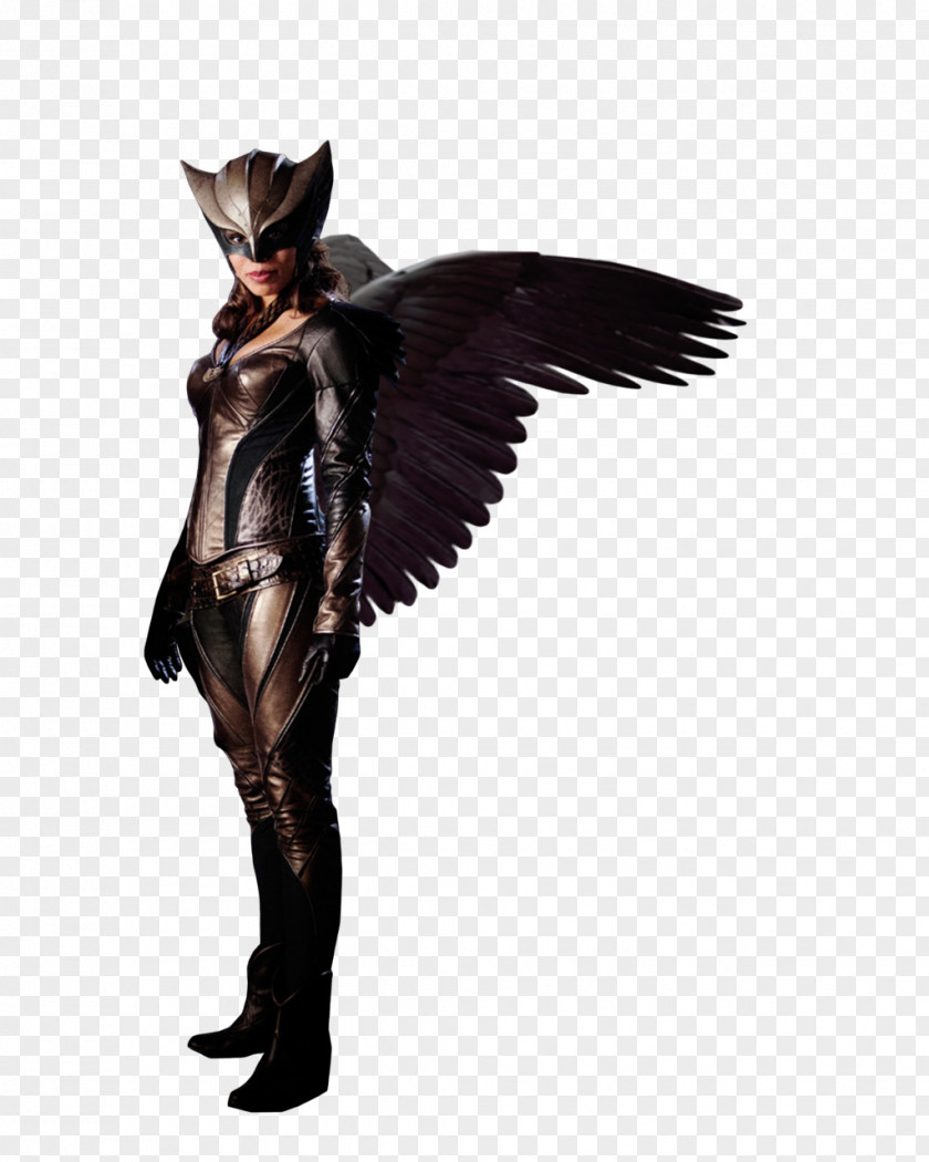 Hawkgirl Transparent Image Hawkman (Katar Hol) PNG
