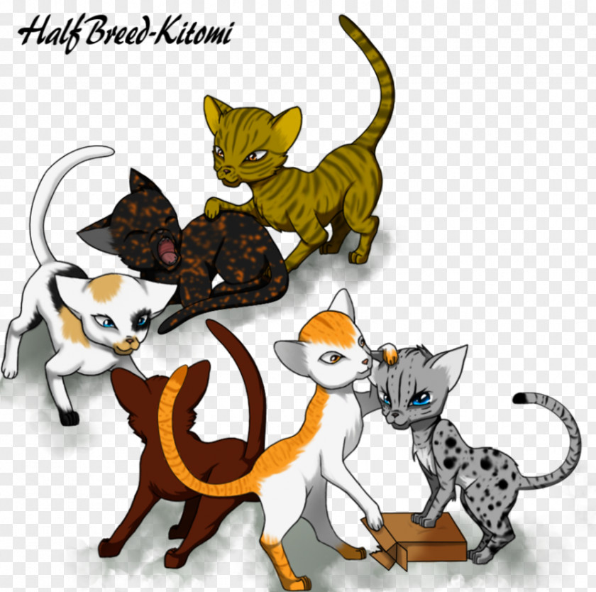 Kitten Cat Canidae Dog PNG