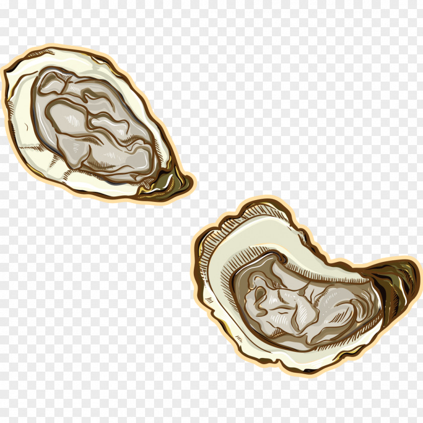 Oysters Oyster Mussel Seafood Vector Graphics Shellfish PNG