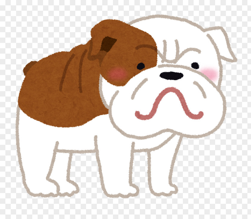 Puppy French Bulldog Dog Breed Pug PNG